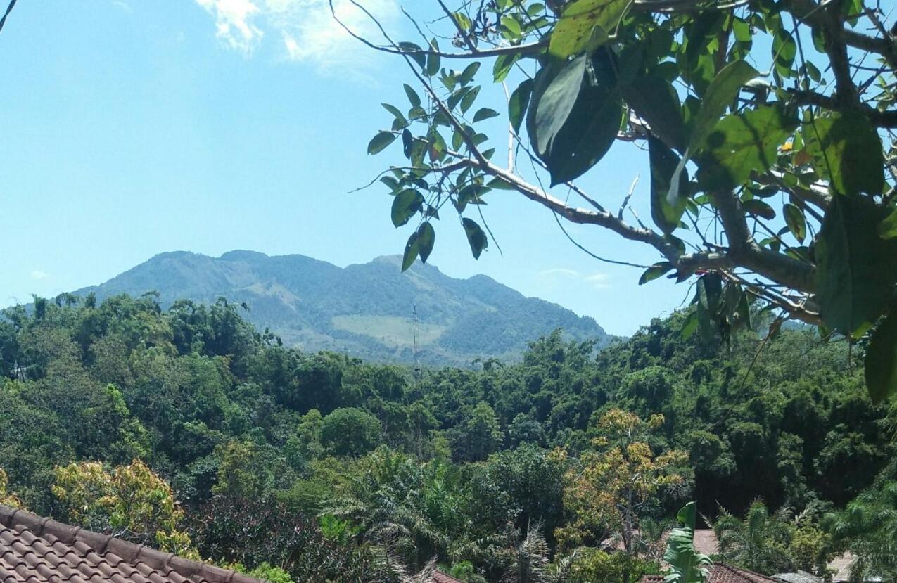 Green Valley Resort Bandungan Exterior foto